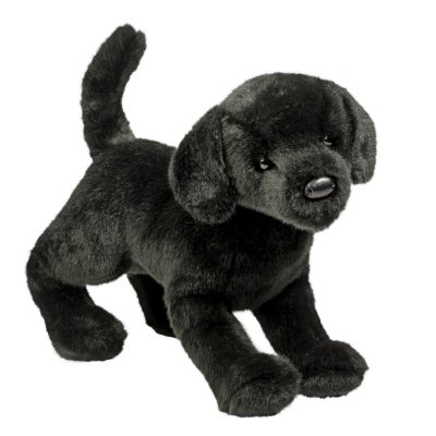 Black Lab Companion