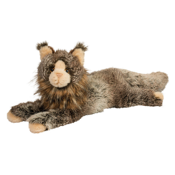 Maine Coon Cat Companion