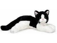 Small Black & White Cat Companion