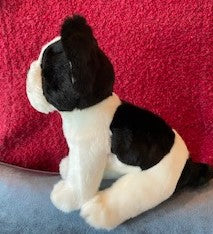 Black and White French Bulldog Puppy Companion