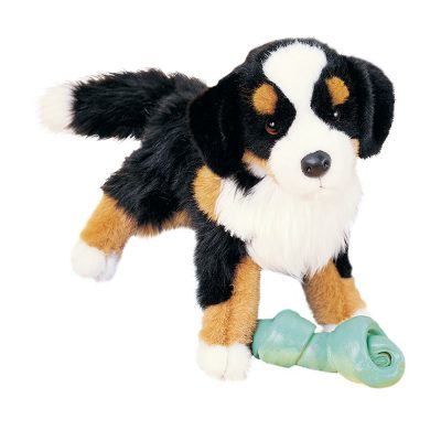 Bernese Mountain Dog Companion