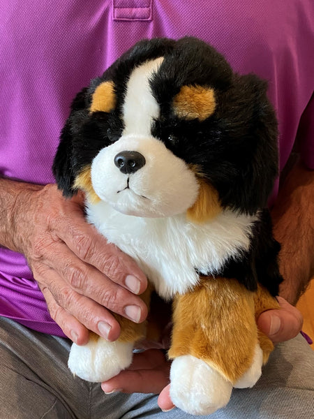 Bernese Puppy Companion