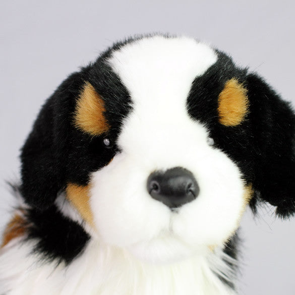 Bernese Mountain Dog Gifts for Alzheimers