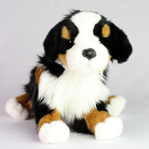 Bernese_Mountain_Dog_full_1200
