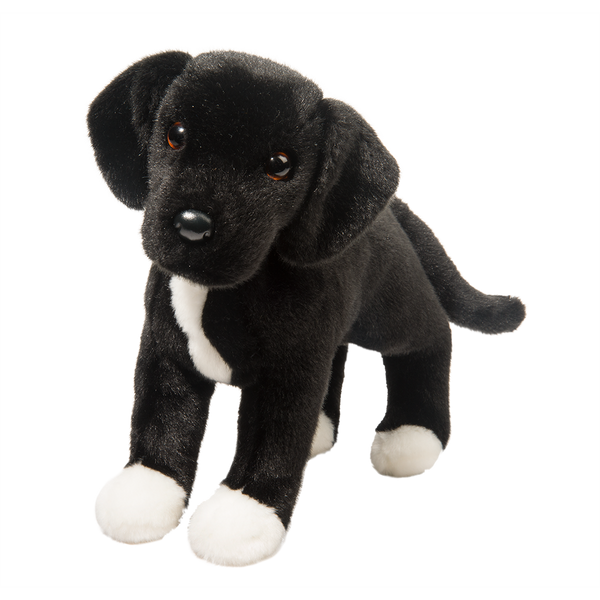 Black Lab & Pitbull Mix Dog Companion