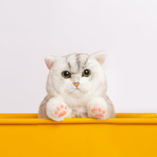 Memorable Pets "Reborn" British Shorthair Companion Cat By Chongkers