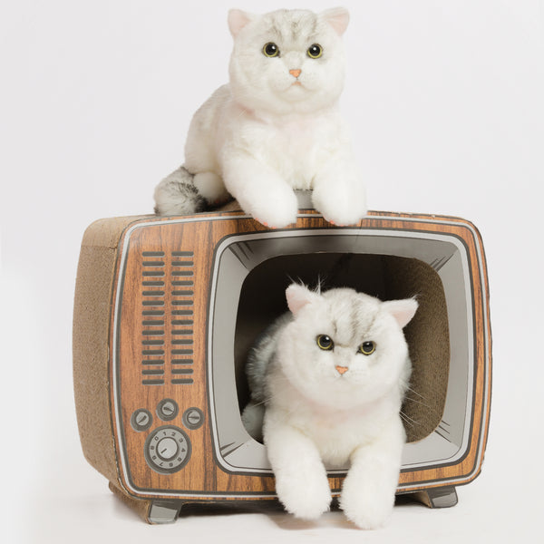 Memorable Pets "Reborn" British Shorthair Companion Cat By Chongkers