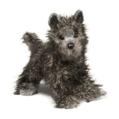 Cairn Terrier Dog Companion