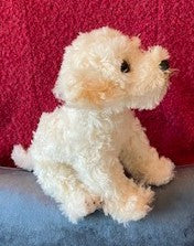 Yellow Labradoodle Puppy for People with Alzheimer's and Caregivers
