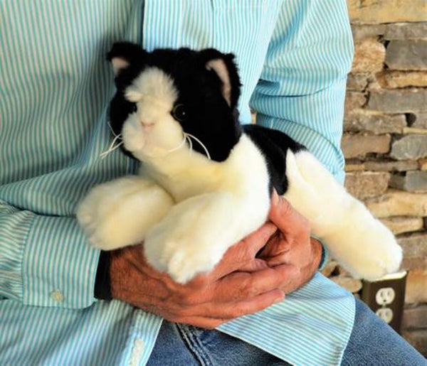 Small Black & White Cat Companion