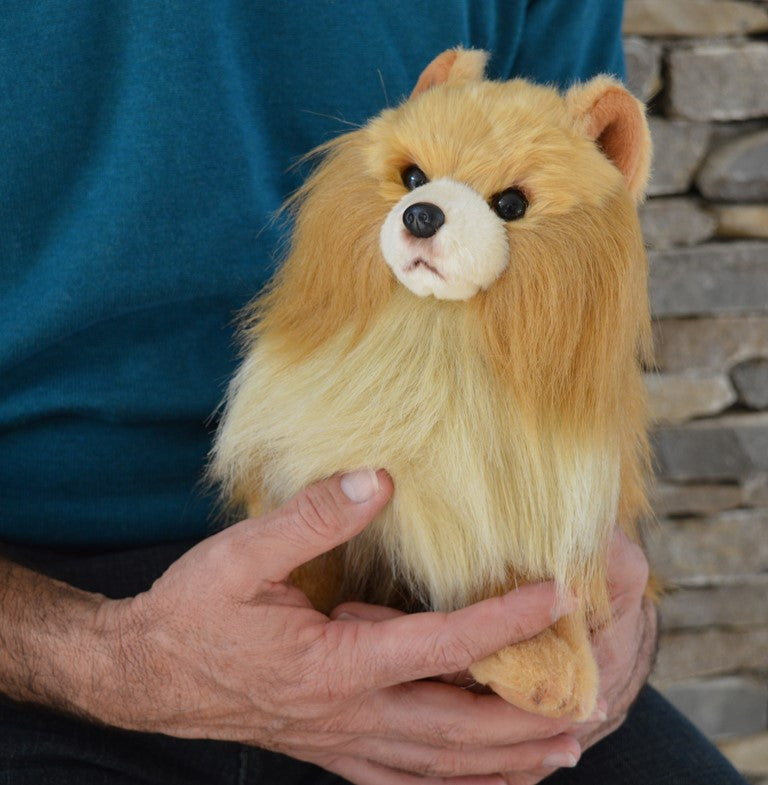 Pomeranian deals stuffed toy