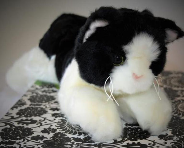 Small Black & White Cat Companion