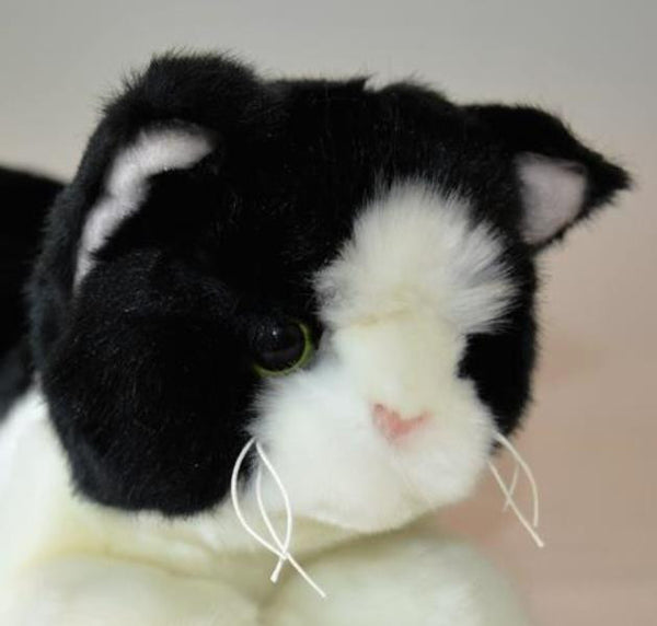 Small Black & White Cat Companion