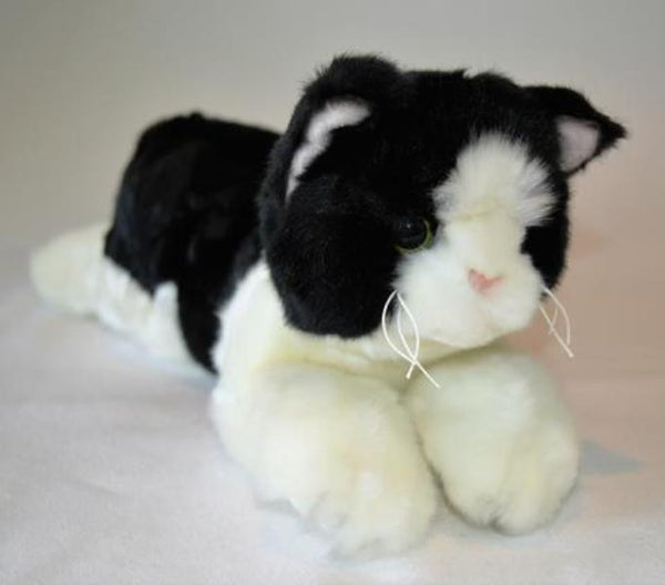 Small Black & White Cat Companion