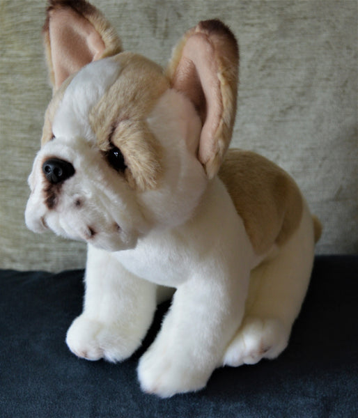 Small French Bulldog Puppy Companion