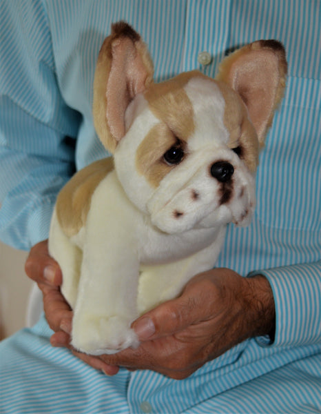 Small French Bulldog Puppy Companion