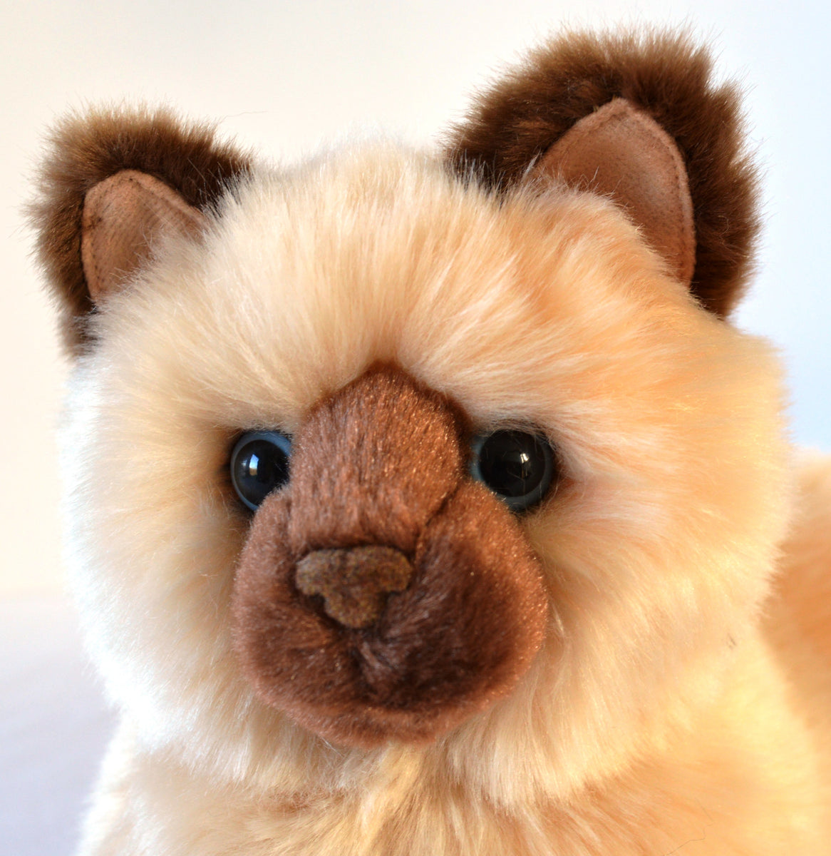 Stuffed deals himalayan cat