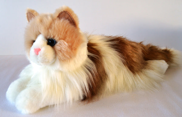 Long Haired Ragdoll Cat Companion