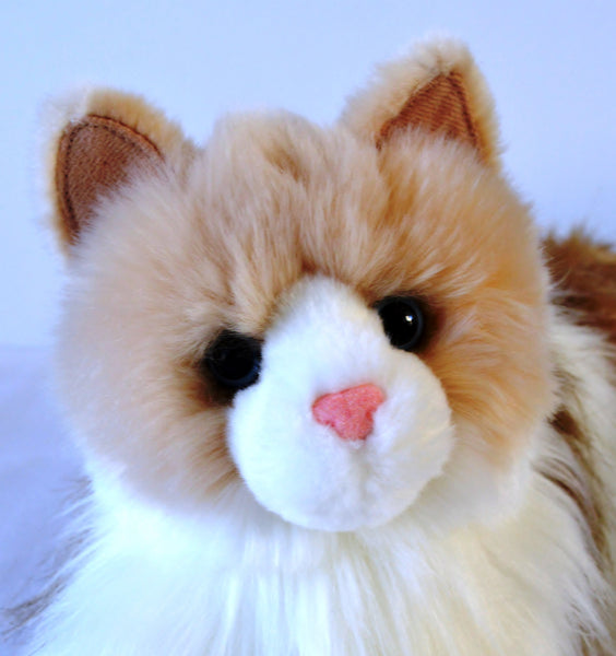 Long Haired Ragdoll Cat Companion