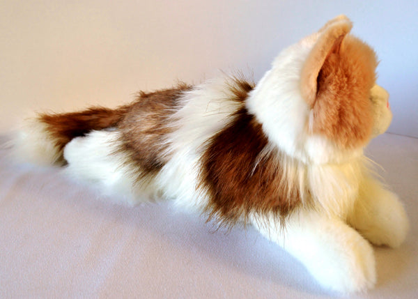 Long Haired Ragdoll Cat Companion