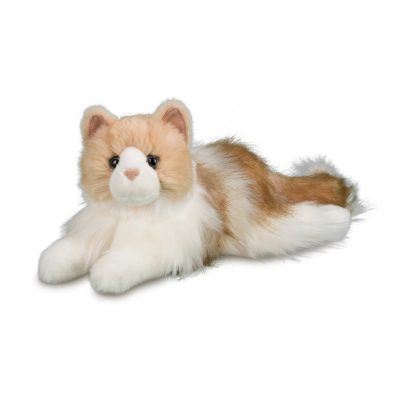 Long Haired Ragdoll Cat Companion