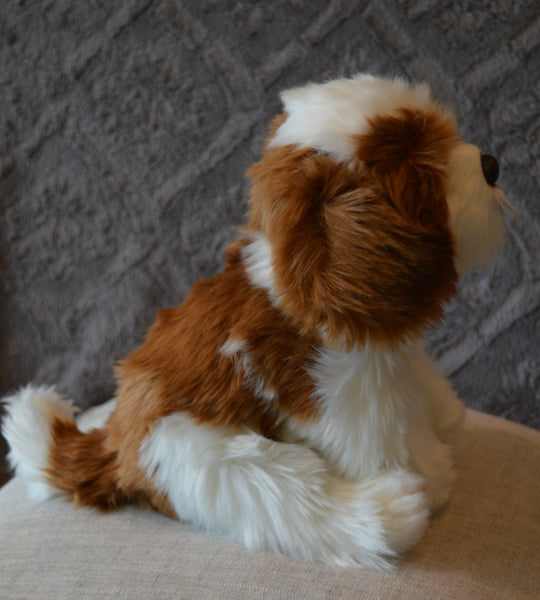 Shih Tzu Puppy Companion