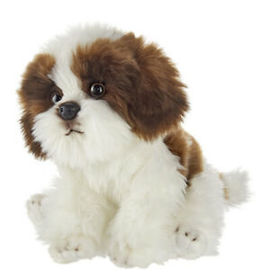 Shih Tzu Puppy Companion