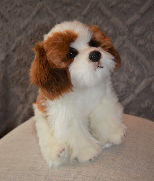 Shih Tzu Puppy Companion