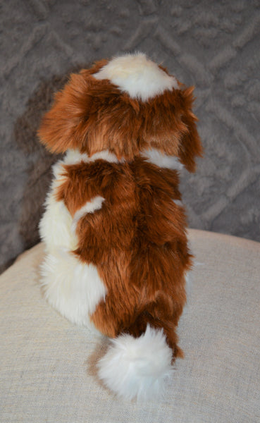Shih Tzu Puppy Companion