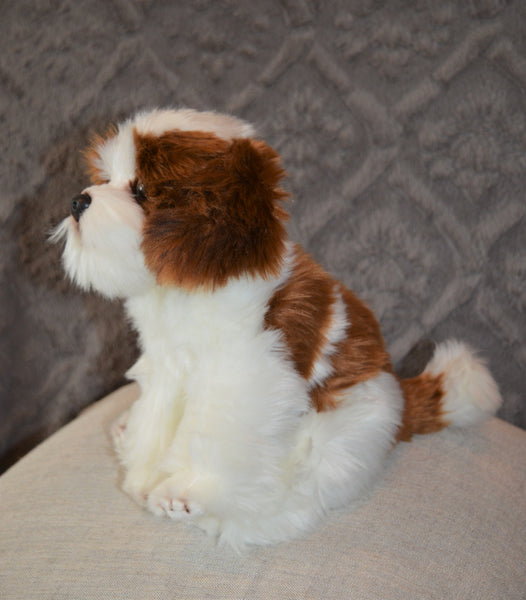 Shih Tzu Puppy Companion
