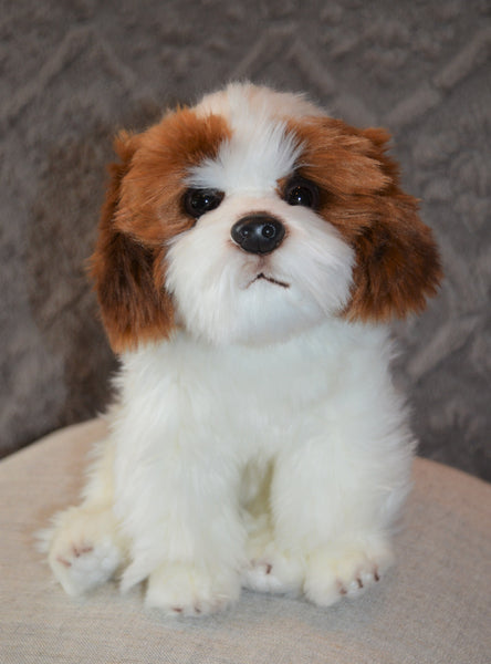 Shih Tzu Puppy Companion