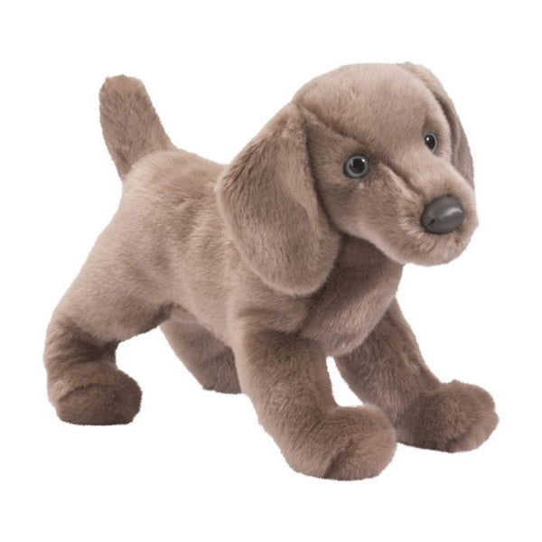 Weimaraner Dog Companion