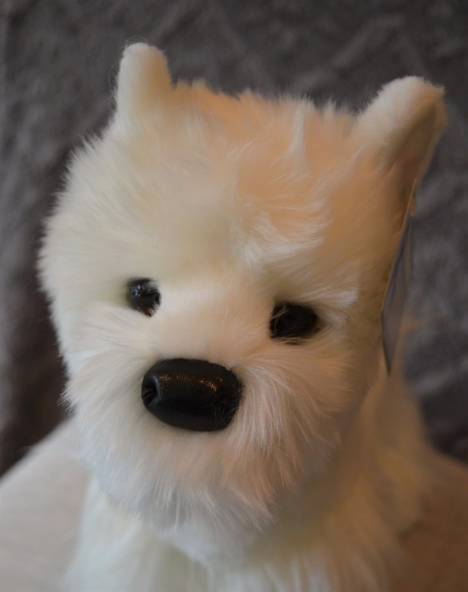 Toy westie shops