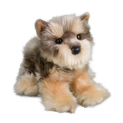 Cairn Terrier Dog Companion