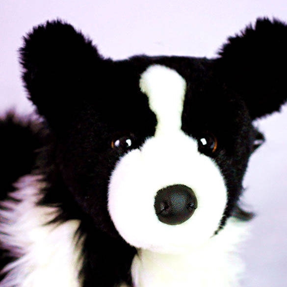Border Collie Gifts for Alzheimers