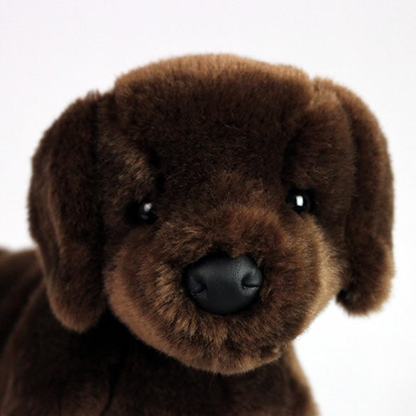Chocolate Labrador Gifts for Alzheimer's Patients