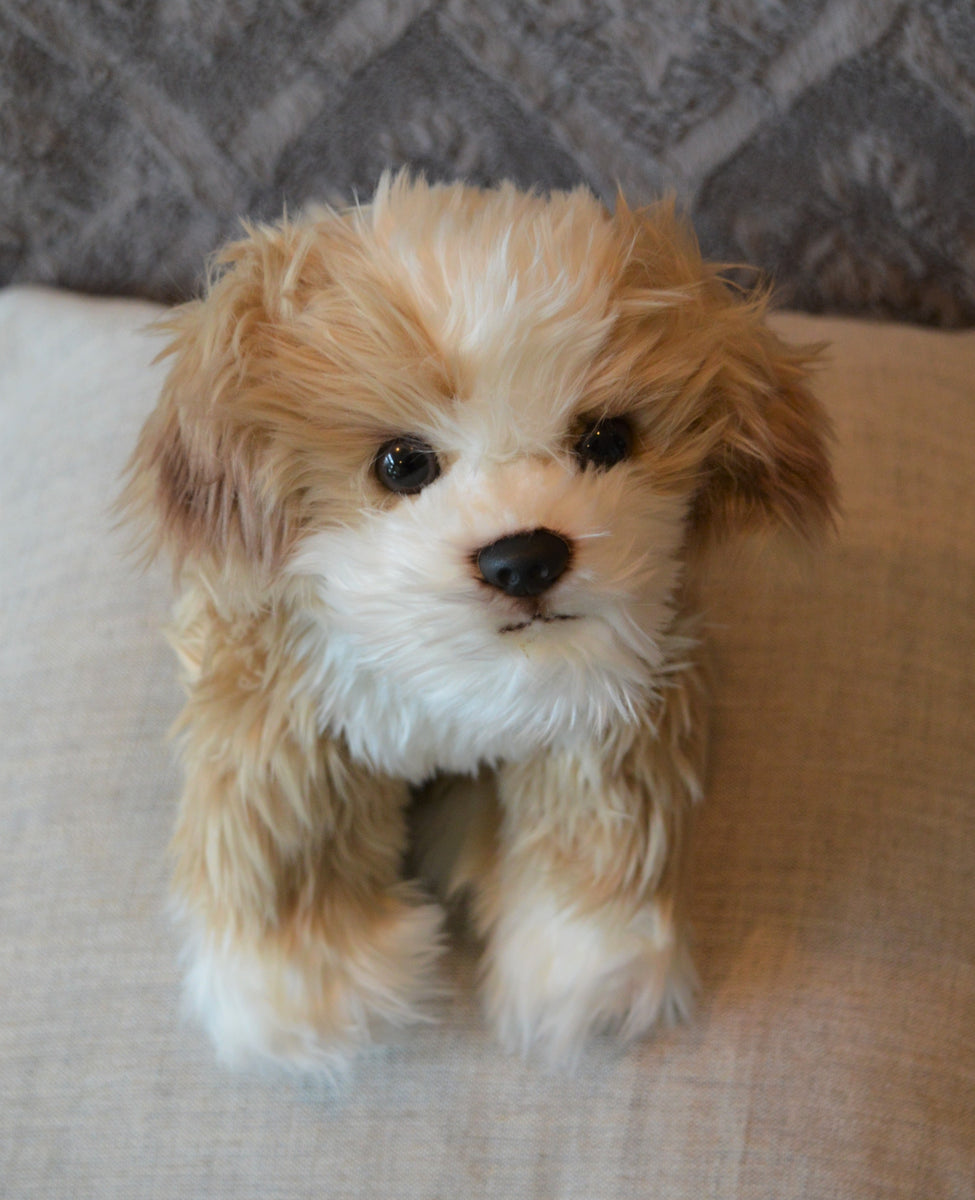 White maltipoo hot sale stuffed animal
