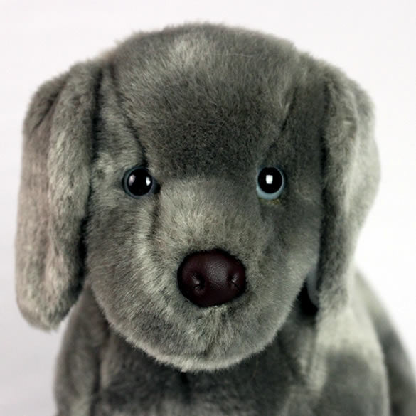 Weimaraner Gifts for Alzherimer's Patients