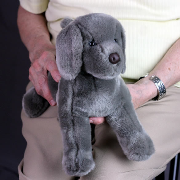 Weimaraner Gifts for Alzherimer's Patients