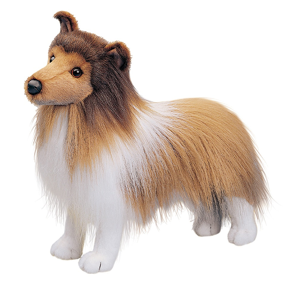 Sheltie Collie Dog Companion