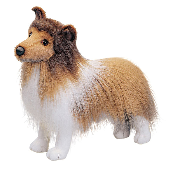 295Sheltiestanding-