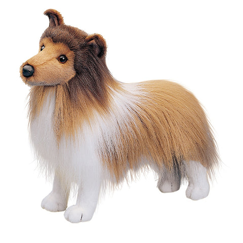 Sheltie Collie Dog Companion