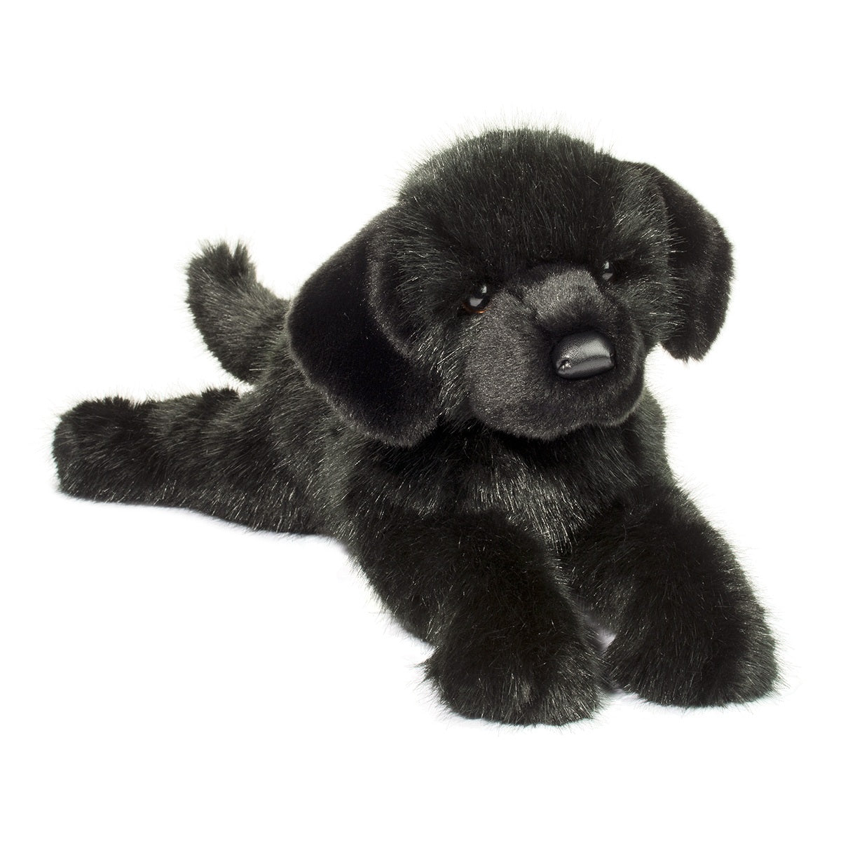 Large Black Lab Dog Companion