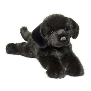 Large Black Lab Dog Companion