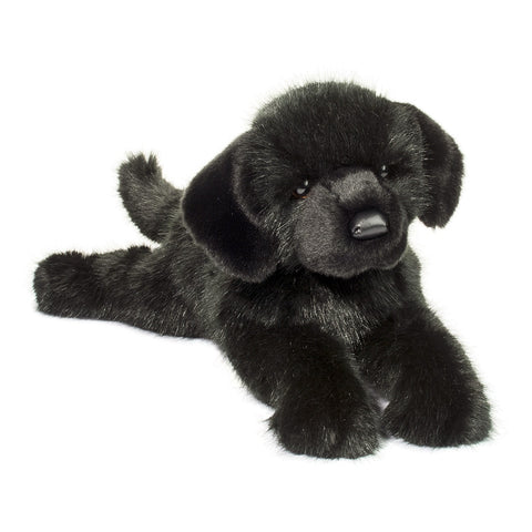 Large Black Lab Dog Companion