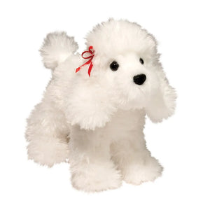 White Toy Poodle Puppy Companion