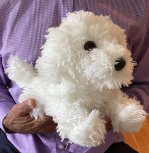 White Doodle Puppy