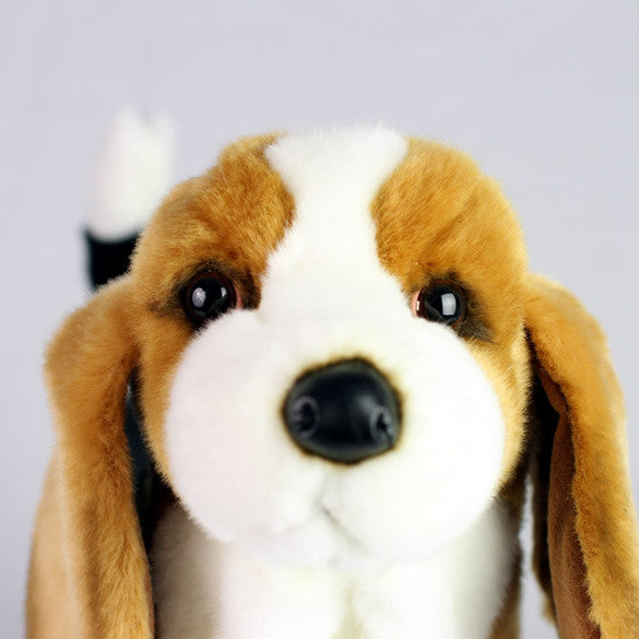 Basset hound gifts best sale