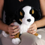 Bernese Mountain Dog Gifts for Alzheimers
