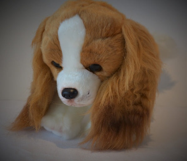 King Charles Cavalier Spaniel for People with Alzheimer's and Caregivers